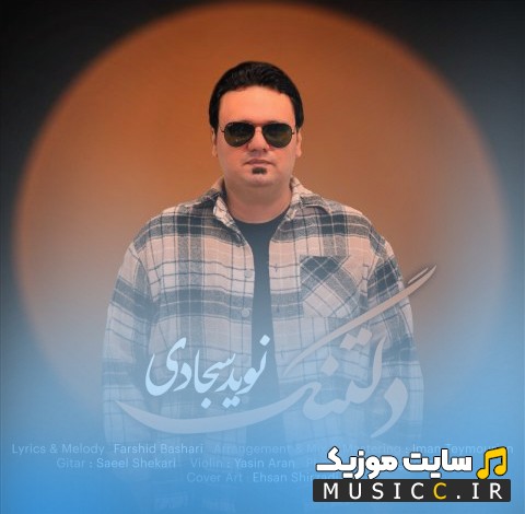 دانلود آهنگ نوید سجادی با نام دلتنگ (Deltang - Navid Sajadi) با متن (کامل)